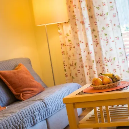 Apartment Haus Erika Bad Hofgastein