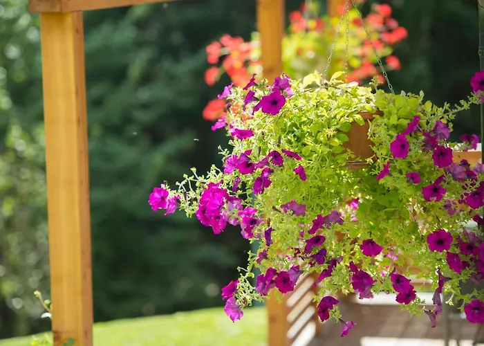 Haus Erika Bad Hofgastein